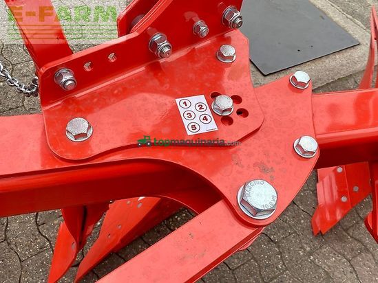 Arado - Maschio - unico m passo 4+