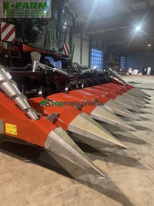 Cabezal - Dominoni - maispflücker 8 reiher