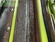 Cosechadora de Cereal - Claas - JAGUAR 880 4WD