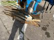 Arado - Lemken - juwel 8 v 5 n 100