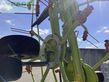 Henificador - Claas - volto 1100