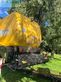 Cosechadora de Cereal - New Holland - csx 7040