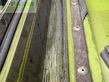Cosechadora de Cereal - Claas - jaguar 960 4-trac - tier 4f sf