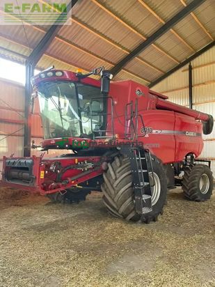 Cosechadora de Cereal - Case IH - 8010