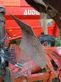 Arado - Gregoire Besson - rg5 514150