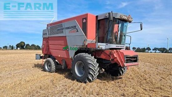 Cosechadora de Cereal - Massey Ferguson - 7278 auto level cerea