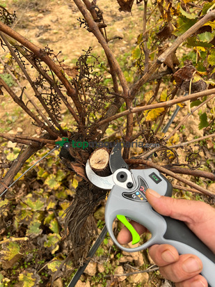 TIJERA DE PODA AGROTOOLS PHOENIX 1200 W