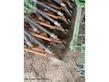 Sembradora directa - Amazone - adp353