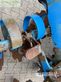 Grada de disco - Lemken - heliodor 8/400 k | 2 satz walzen