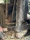 Tractor agrícola - Massey Ferguson - 6490 dyna 6