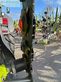Cortacésped manual - Claas - disco 1010 trend