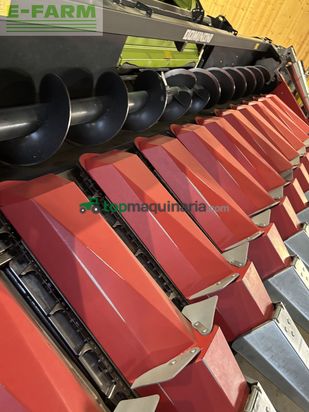 Cabezal - Dominoni - maispflücker 12 reiher, 50 cm