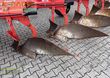 Arado - Maschio - unico l5 +vario nsh