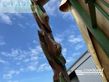 Cortacésped manual - Krone - easy cut 7540