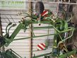 Henificador - Krone - USED 7.82