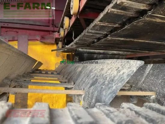 Cosechadora - arrancadora de patata - Grimme - evo 280 clodsep 17