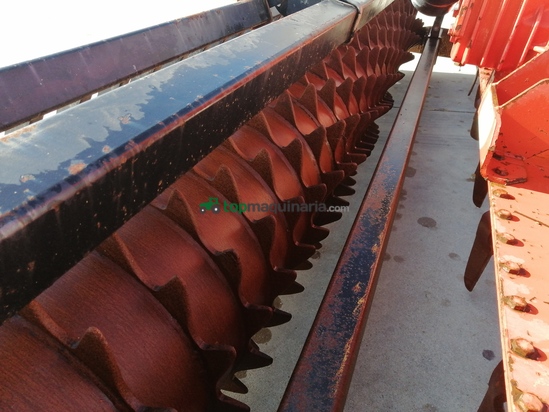 Grada rotativa - Maschio - ERPICE VITO