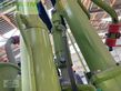 Henificador - Claas - volto 1100