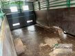 Remolqu agrícola - Knies - va viehanhänger