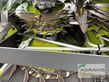 Cabezal - Claas - orbis 750 ac 3t