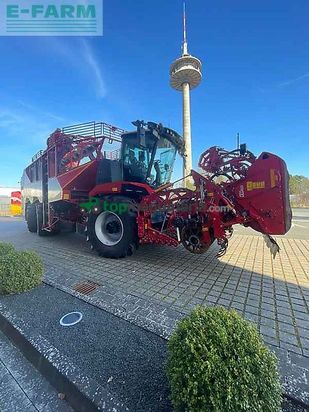 Cosechadora de Cereal - Grimme - rexor 6300 gen iv