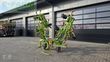 Henificador - Claas - volto 870 h