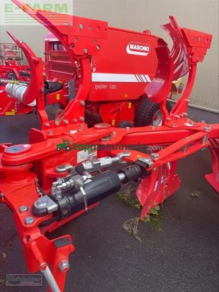 Arado - Maschio - unico m passo 4+ d105 streifenkörper