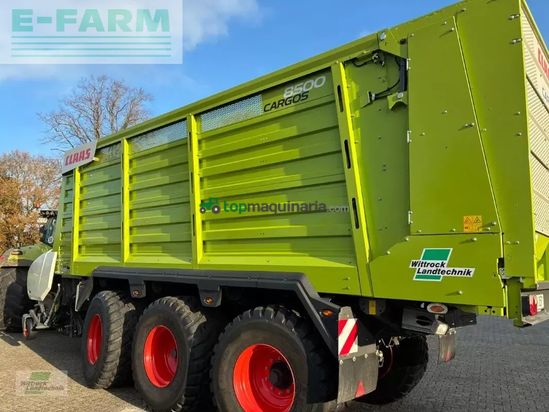 Cinta transportadora de forraje - Claas - cargos 8500 tridem