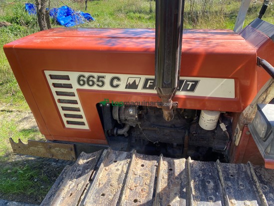 Tractor cadena - Fiat / Fiatagri - 665C versión montaña