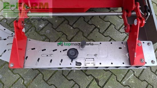 Esparcidor - Maschio - primo m 213