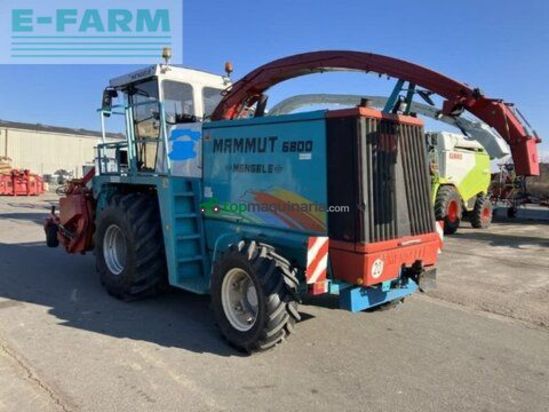 Cosechadora de Cereal - Mengele - 6800 mammut inkl. pickup
