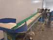 Línea de llenado de cestas - Cuentafrutas Sorma+ Flow pack