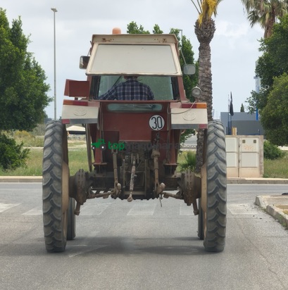 Tractor agrícola - Fiat / Fiatagri - 80-66