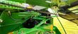 Cosechadora de Cereal - John Deere - 8500