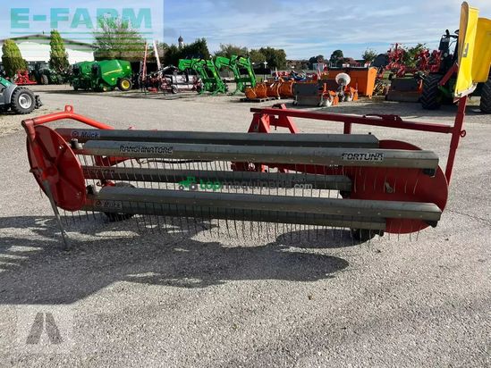 Rastrillo -  - fortuna