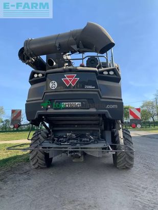 Cosechadora de Cereal - Massey Ferguson - ideal