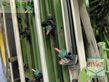 Atomizador - Amazone - ug 3000 power