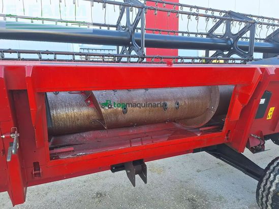 Cabezal - Case IH - 3050 schneidwerk