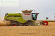 Cosechadora de Cereal - Claas - lexion 780 tt *allrad* + v1230