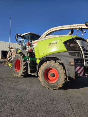 Cosechadora picadora  Claas - JAGUAR 980
