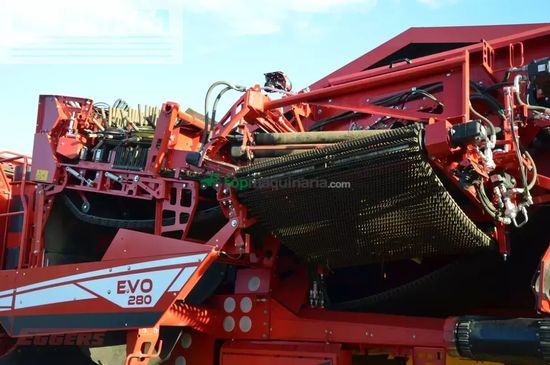 Cosechadora - arrancadora de patata - Grimme - evo 280 clodsep gen ii
