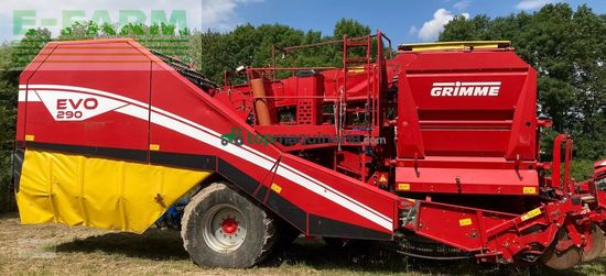 Cosechadora - arrancadora de patata - Grimme - evo 290