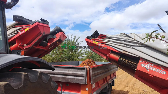 Recolector de almendra trasero TORPEDO RT-100