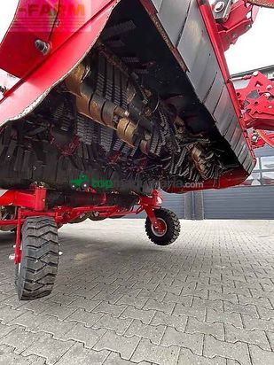 Cosechadora de Cereal - Grimme - rexor 6300 platinum