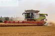 Cosechadora de Cereal - Claas - lexion 780 tt *allrad* + v1230