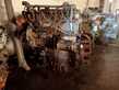 Motor Perkins A4248 de un Massey Ferguson 294 con n° 338.