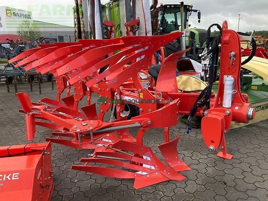 Arado - Maschio - unico m passo 4