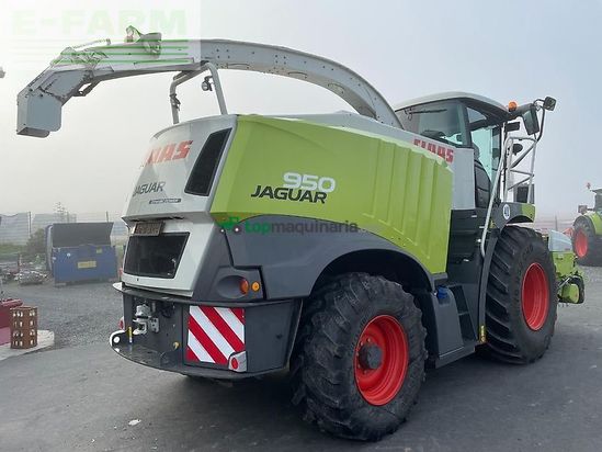 Cosechadora de Cereal - Claas - jaguar 950 497 allrad mit pick-up