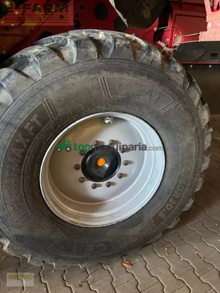 Cosechadora - arrancadora de patata - Grimme - evo 280