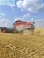Cosechadora de Cereal - Massey Ferguson - Delta 9280